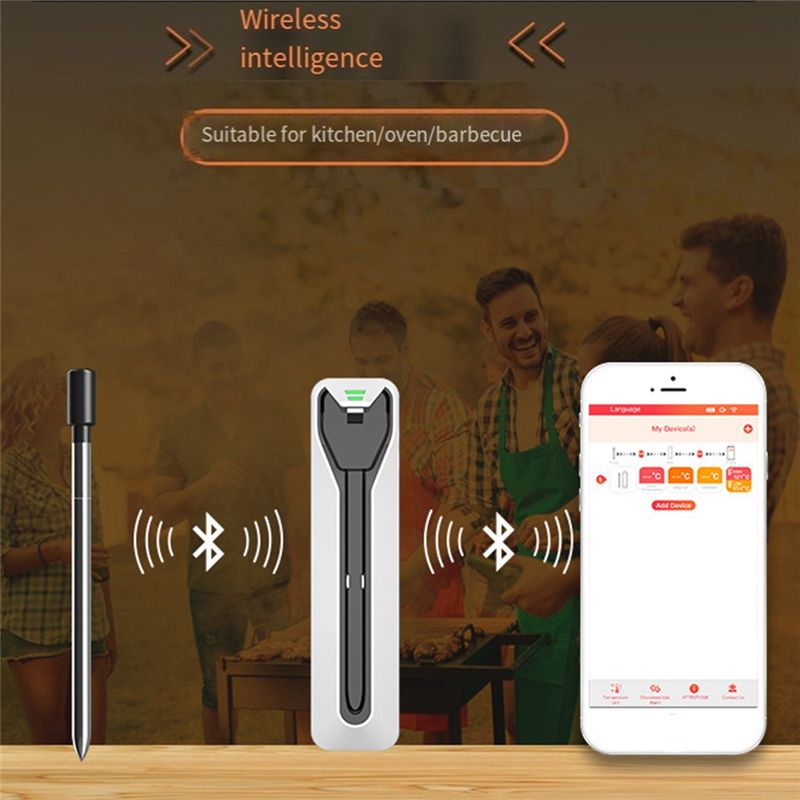 Termometro wireless per carne  - Meat Thermometer recensione e prezzo