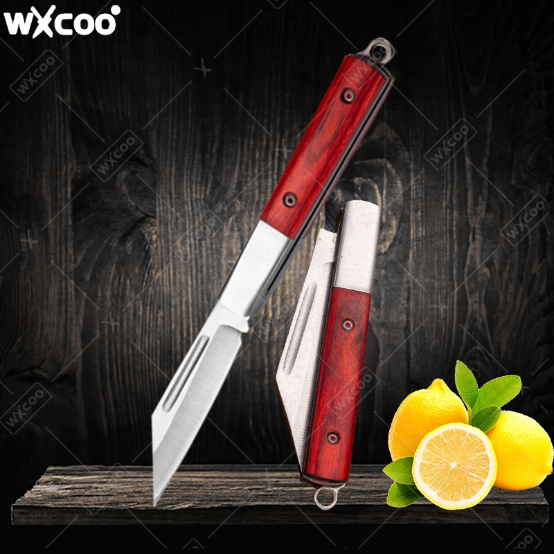 Coltello tascabile in acciaio  - Kitchen Handy Gadgets recensione e prezzo
