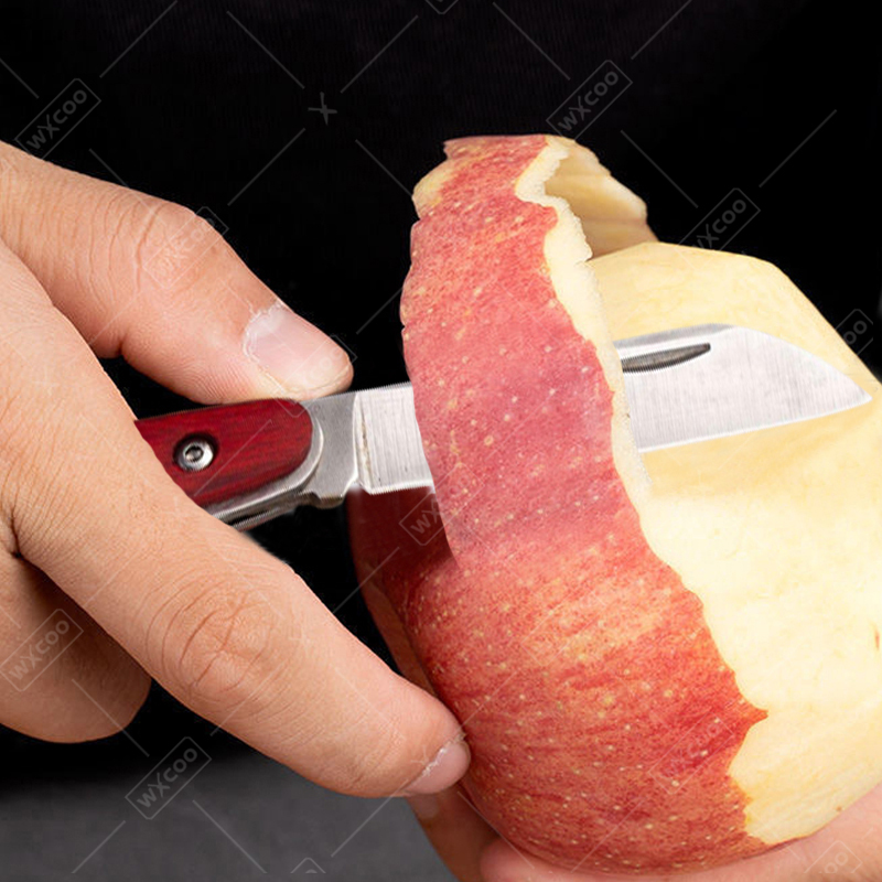 Coltello tascabile in acciaio  - Kitchen Handy Gadgets recensione e prezzo