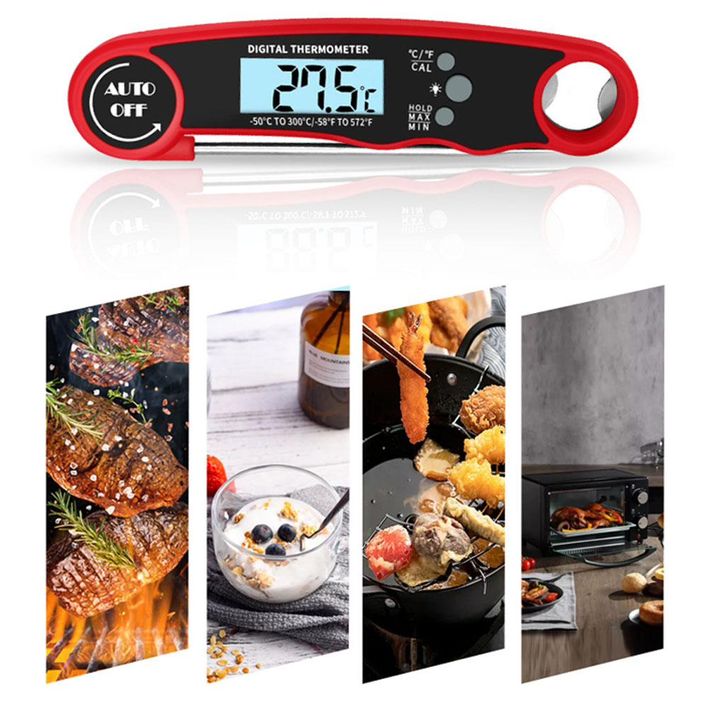 Termometro Digitale per Carne  - Meat Thermometer recensione e prezzo